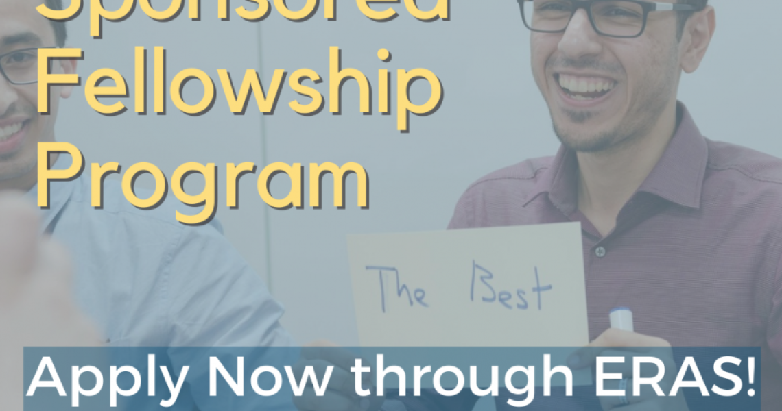 International Sponsored Fellowship Program